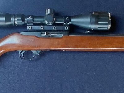 Ruger 10/22 Semi-Auto .22 Rifle