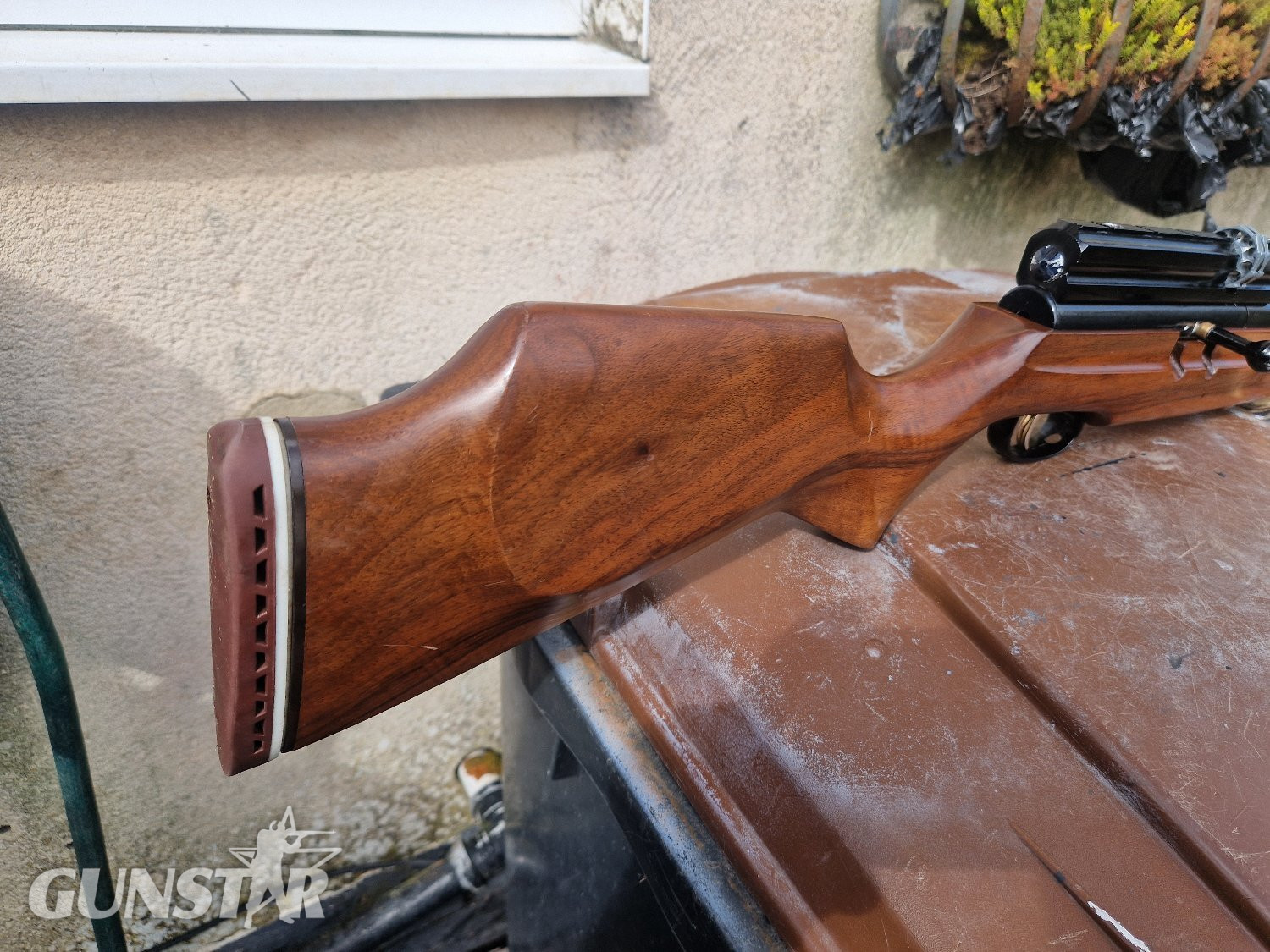 Webley & Scott Raider .22 - {CATEGORY} in 