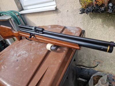 Webley & Scott Raider .22