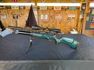 BSA R10 SE Super Carbine .177