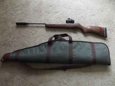 Gamo MAGNUM QUICK SHOT .22