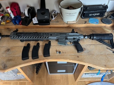 Sig Sauer MCX Virtus .22
