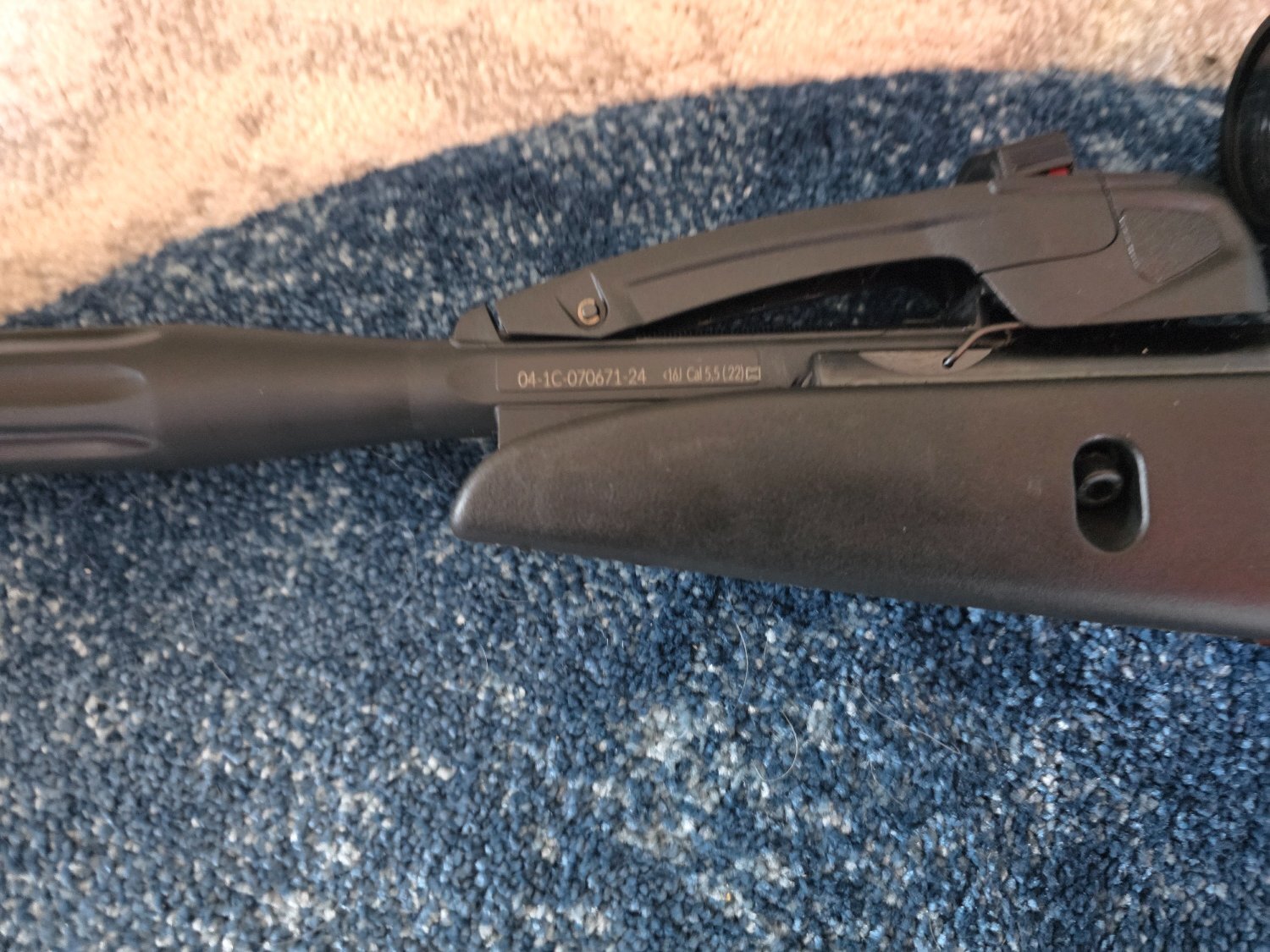 Gamo 220 .22