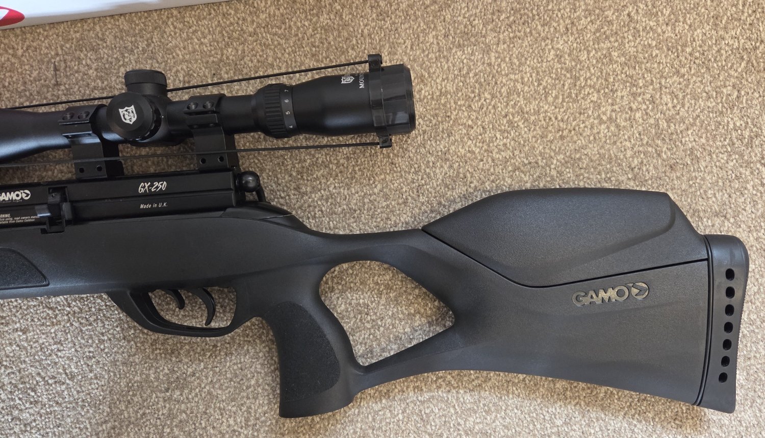 Gamo GX-250 .22