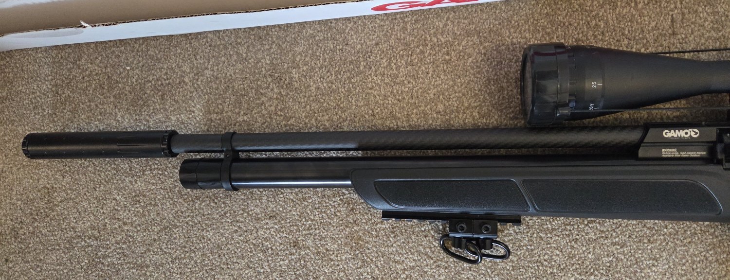  Gamo GX-250 .22