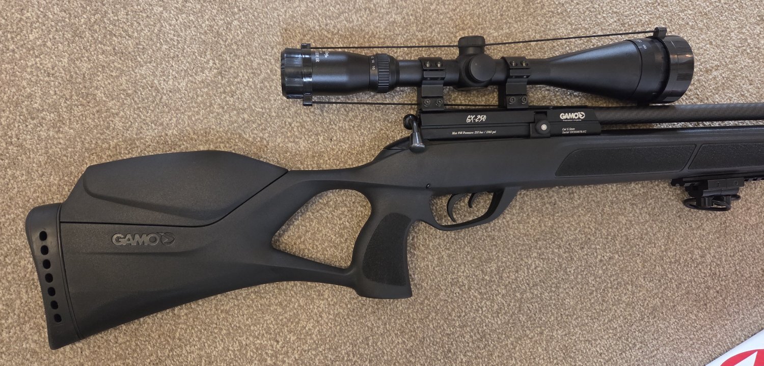 Gamo GX-250 .22 - {CATEGORY} in 