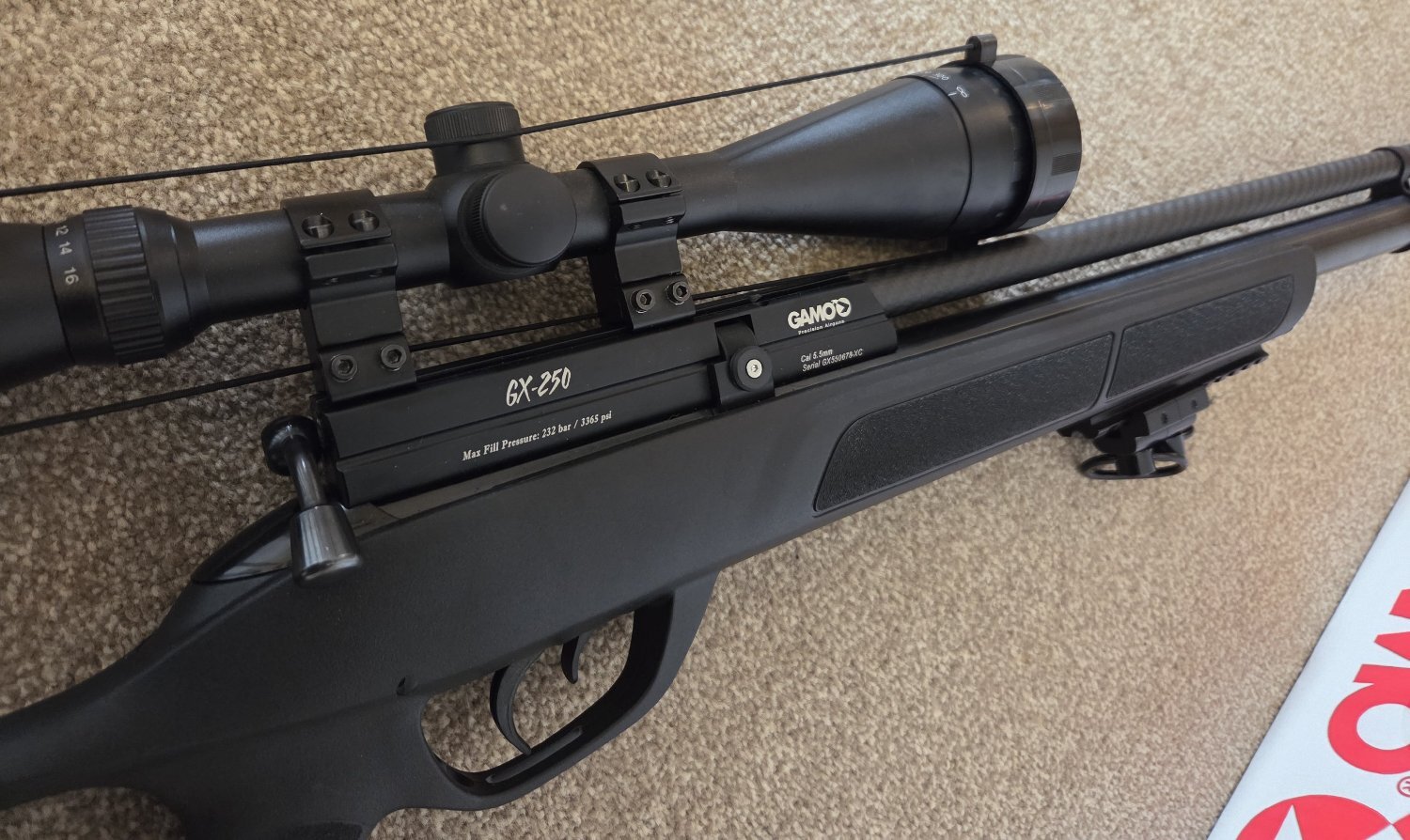 Gamo GX-250 .22 