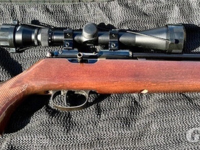 Titan Bearcat .22