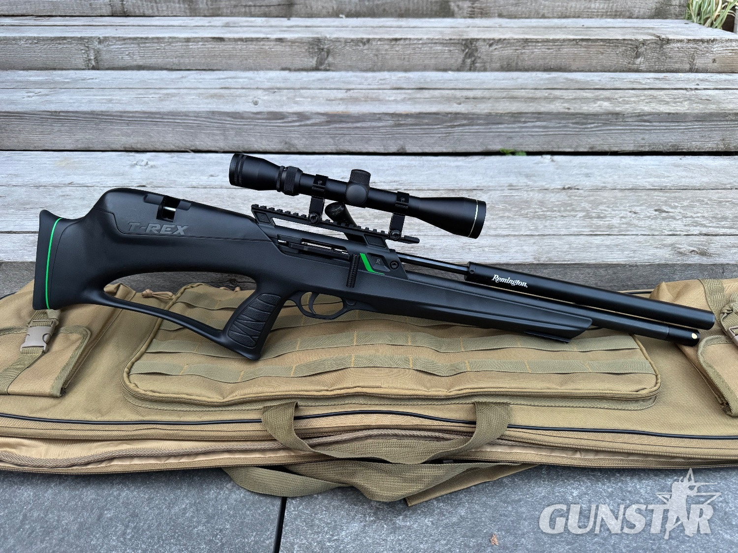 Remington T-Rex .22