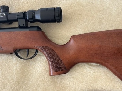BSA Meteor MK7 .22