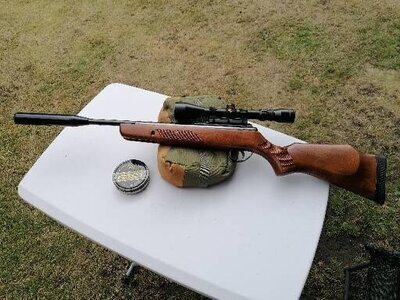 BSA Lightning .22