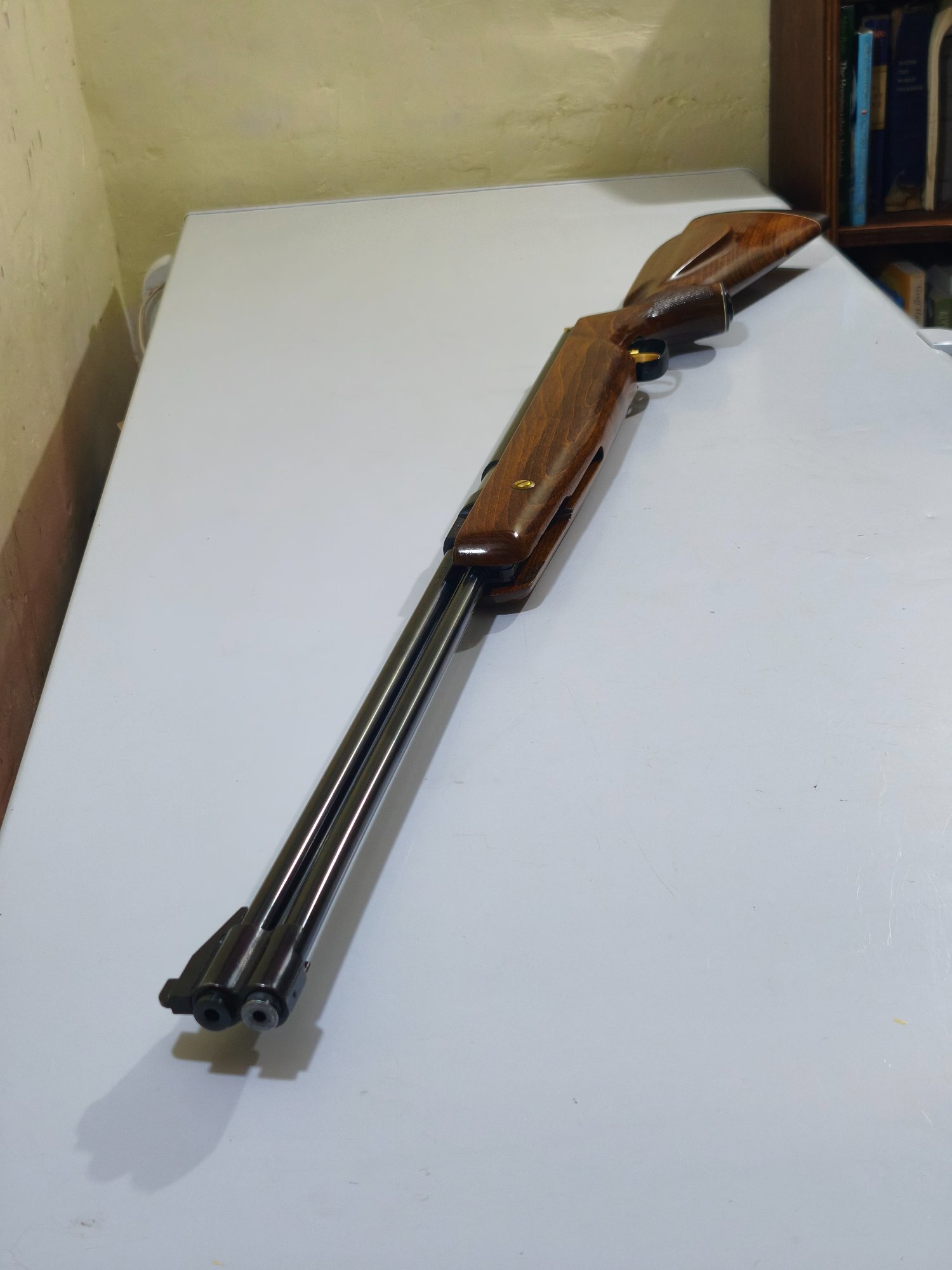 Weihrauch HW77 custom  .22 - {CATEGORY} in 