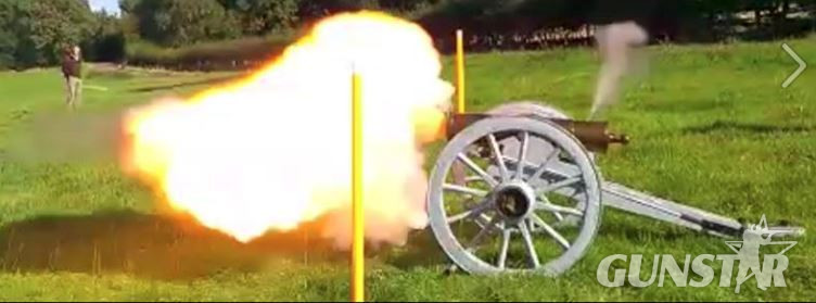 Black Powder. Fine, Medium and Coarse Howitzer Muzzleloader None Rifle in 