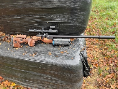FX Airguns King 500 .22