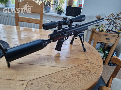 Logun s16 .22
