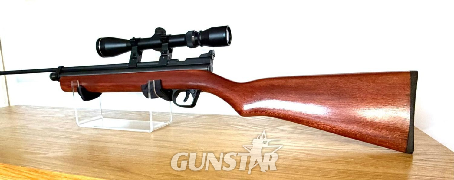  Crosman 2260 .22