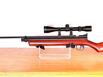 Crosman 2260 .22