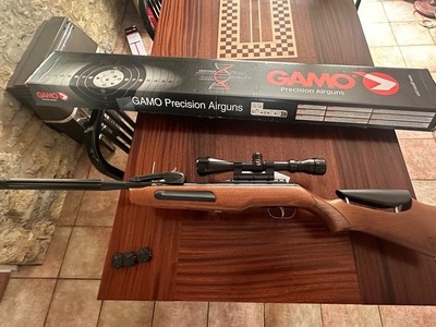 Gamo Maxxim Elite Swarm .22