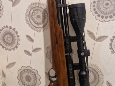 Weihrauch HW100 .22