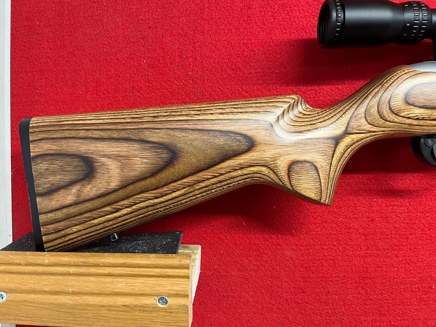 Remington 597 Semi-Auto .22 Rifle