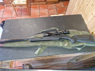 GGamoy Varmint Stalker Deluxe .22