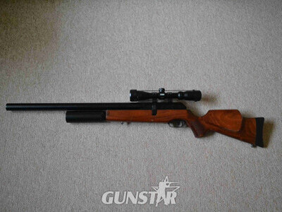 BSA Super 10 .22