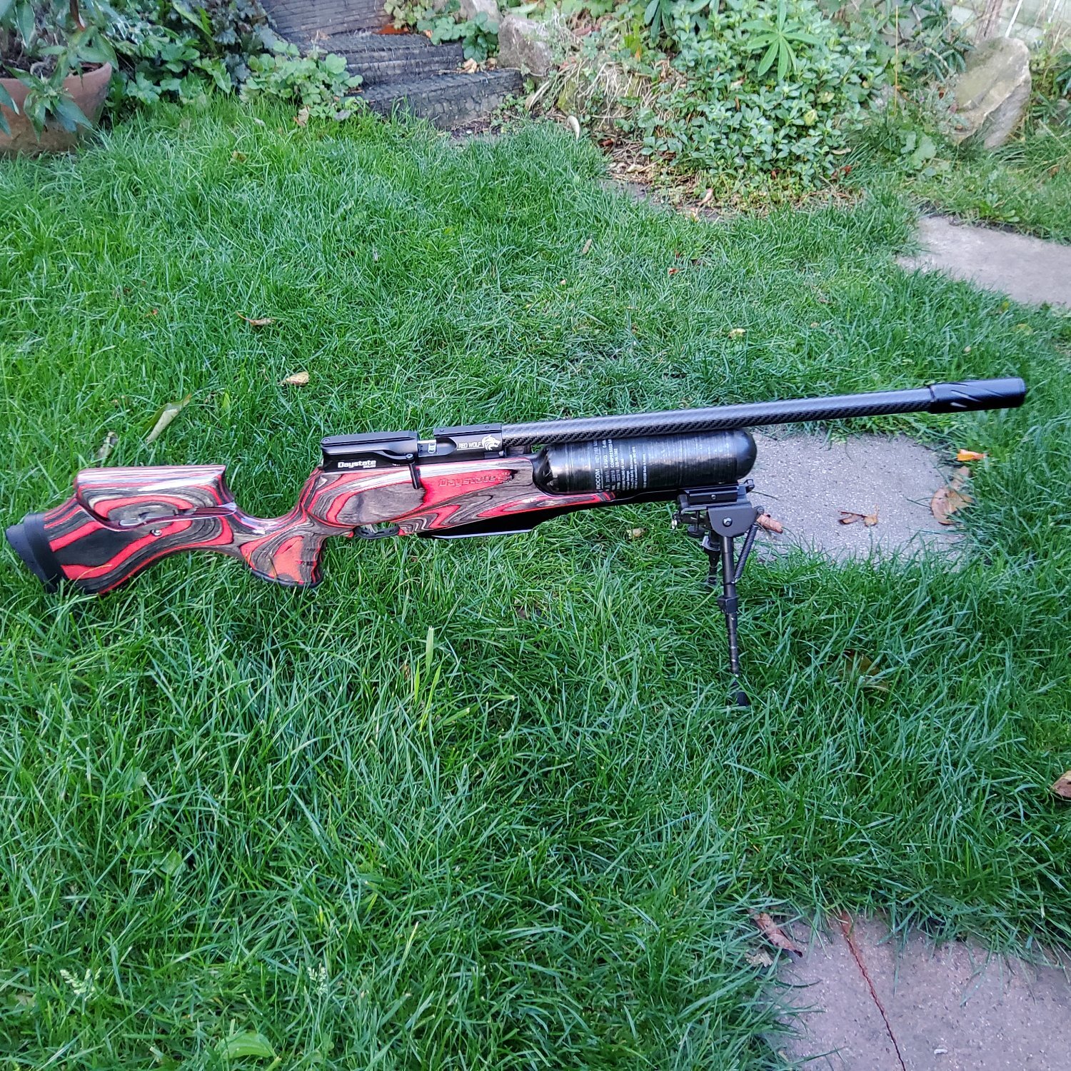 Daystate Pcp RedWolf .177 - {CATEGORY} in 