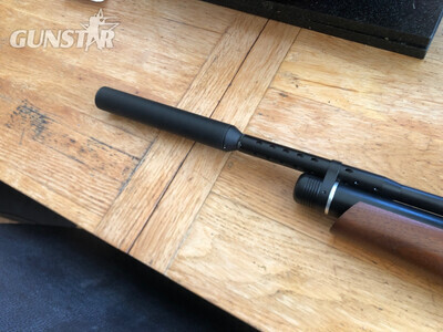 Daystate Merlyn .177