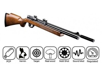 Victory PR900 W Gen 2 PCP Air Rifle .22 Air Rifle
