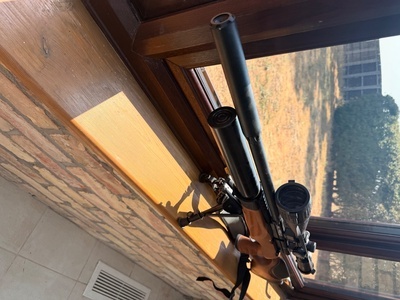 BSA R10 TH .22