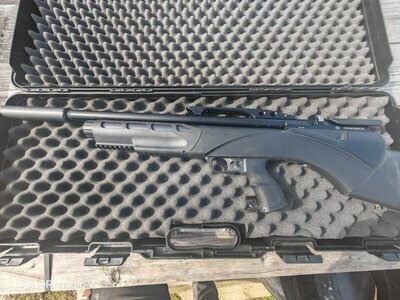 Daystate Renegade .22