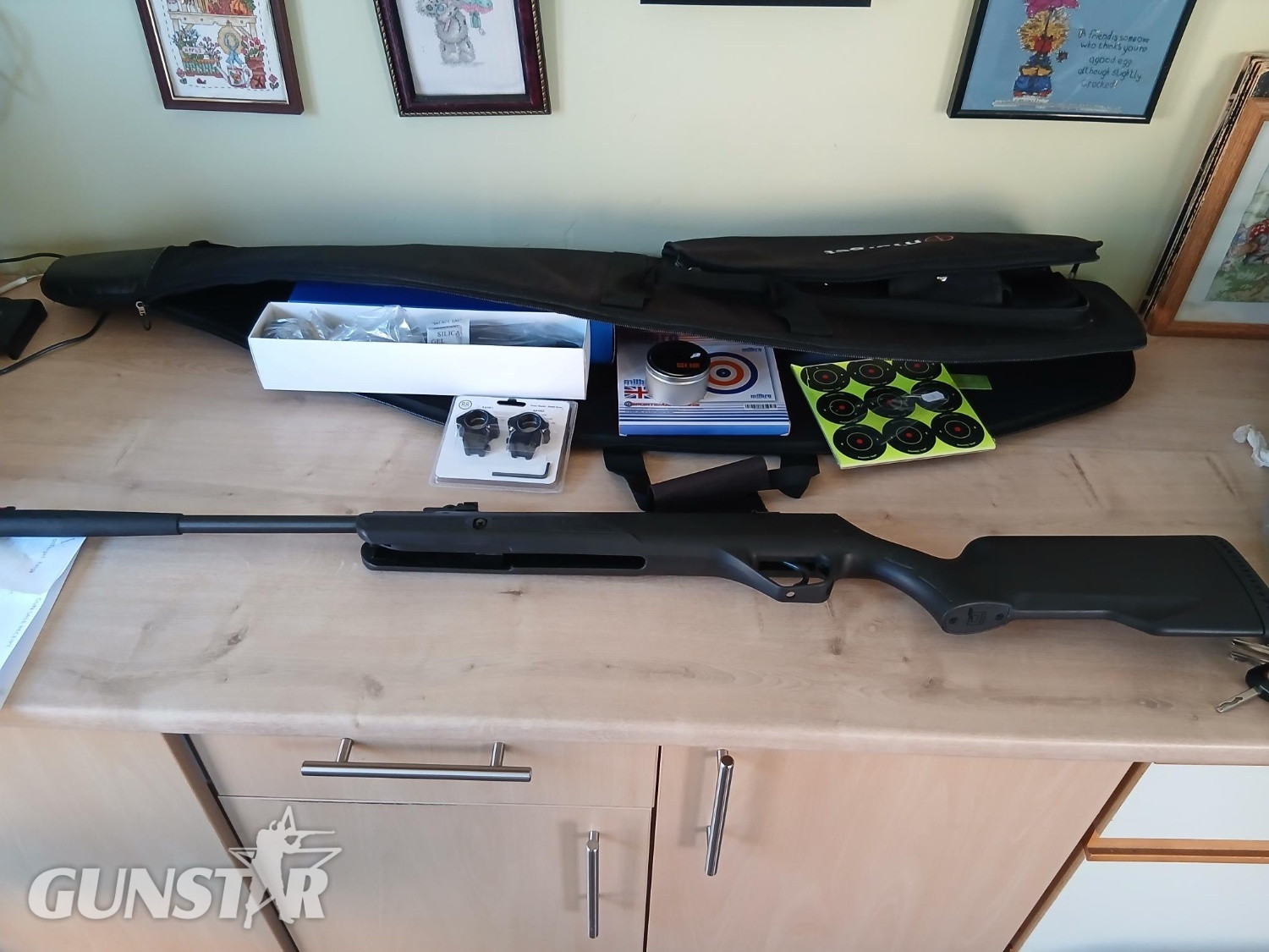 Webley & Scott VMX .22 in 