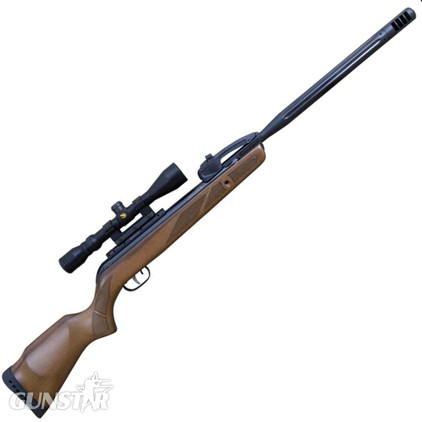 Gamo Varmint Swarm .22 in 