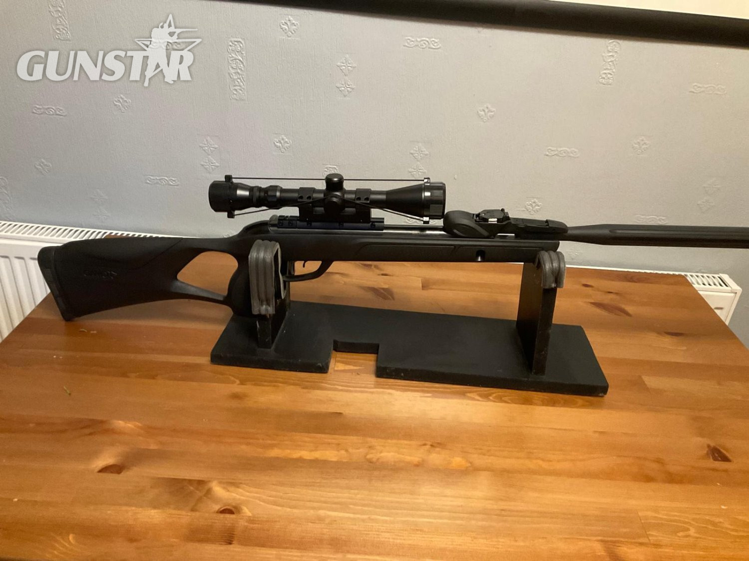 Gamo Roadster 10X Gen2 .22