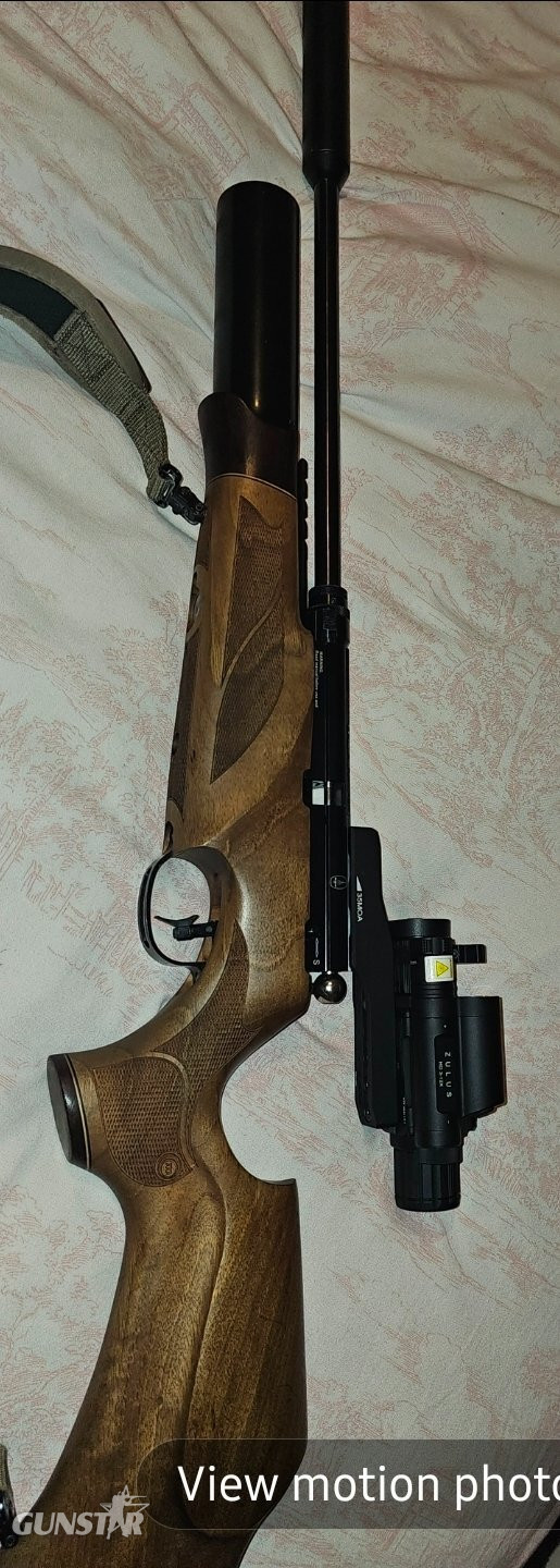 BSA R10 SE .22 in 