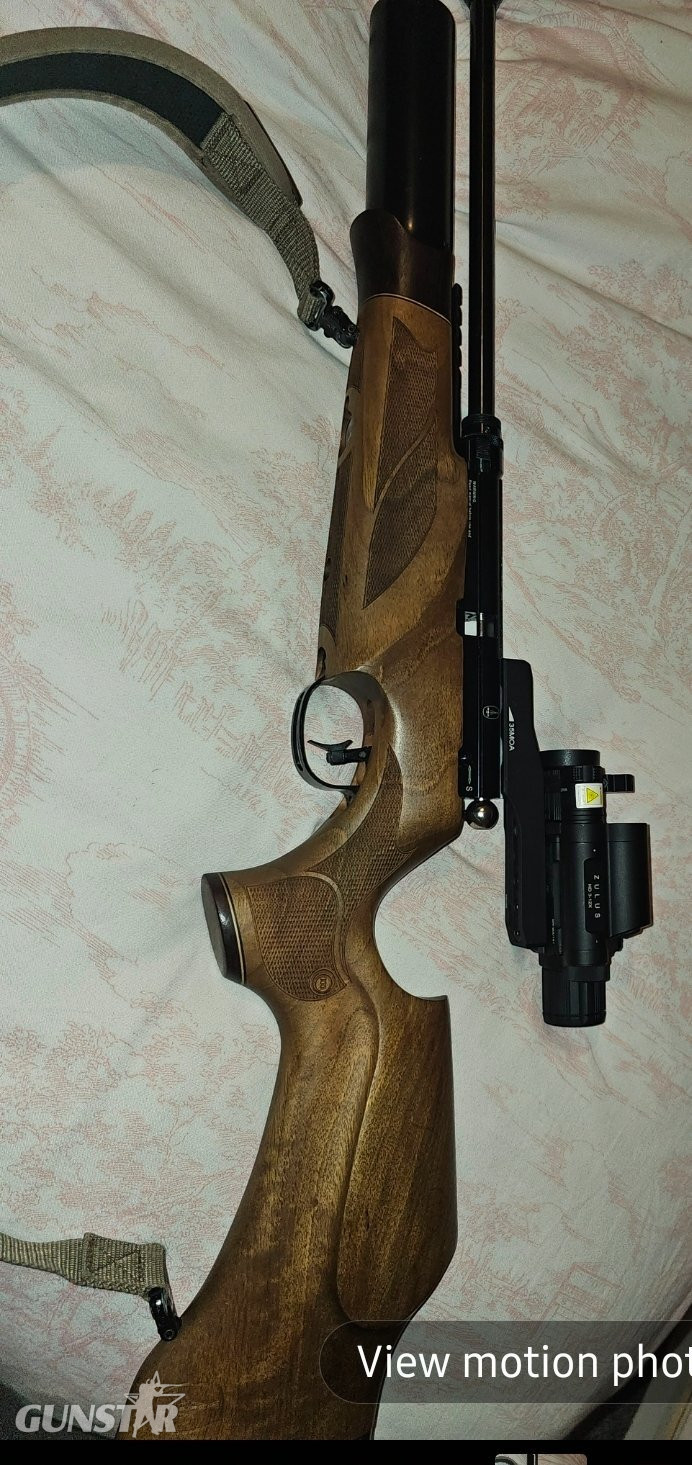 BSA R10 SE .22