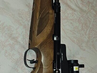 BSA R10 SE .22