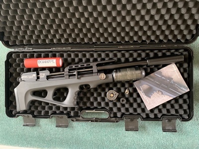 FX Airguns Wildcat .25
