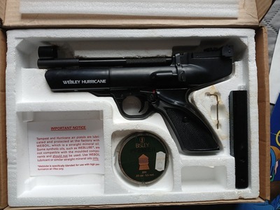 Webley & Scott Hurricane  .22