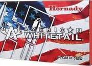 Hornady 243   Hunting Rounds