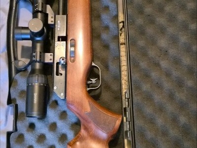 BSA Super 10 Carbine .22