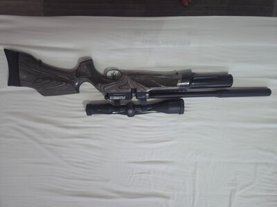 BSA R12 CLX Super Carbine Regulated .22
