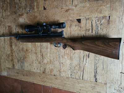 Crosman Rabbit stopper .22 Air Rifle