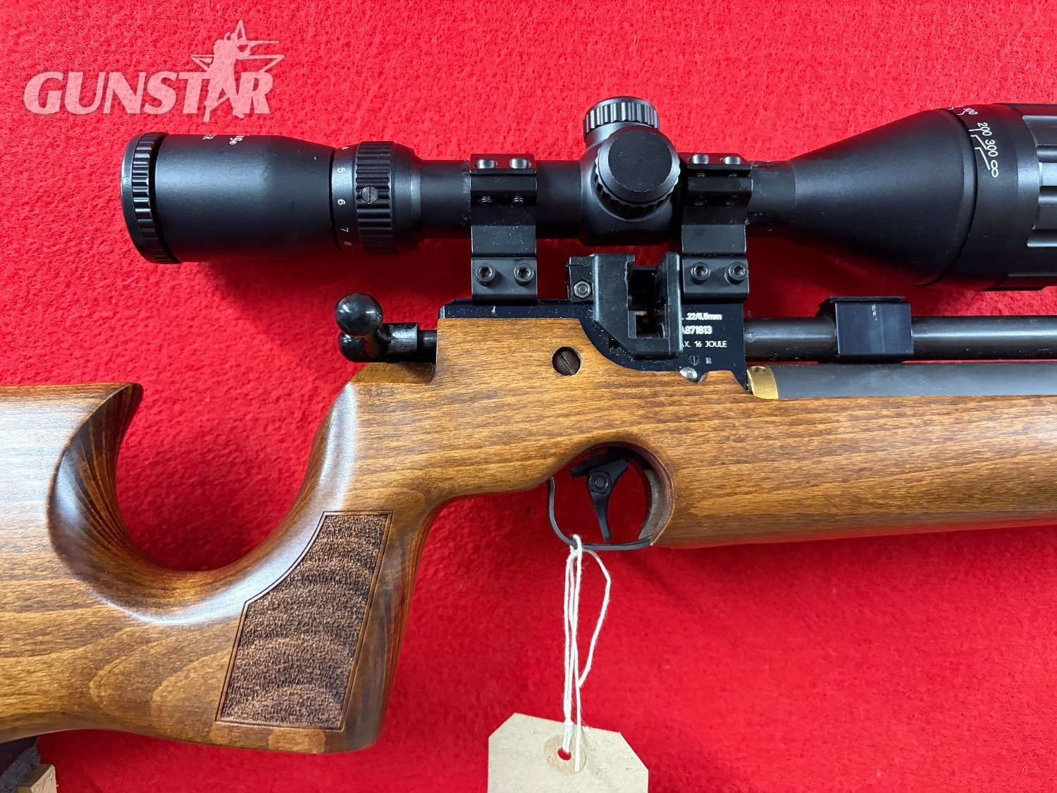 Air Arms S200 .22