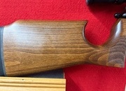 Air Arms S200 .22