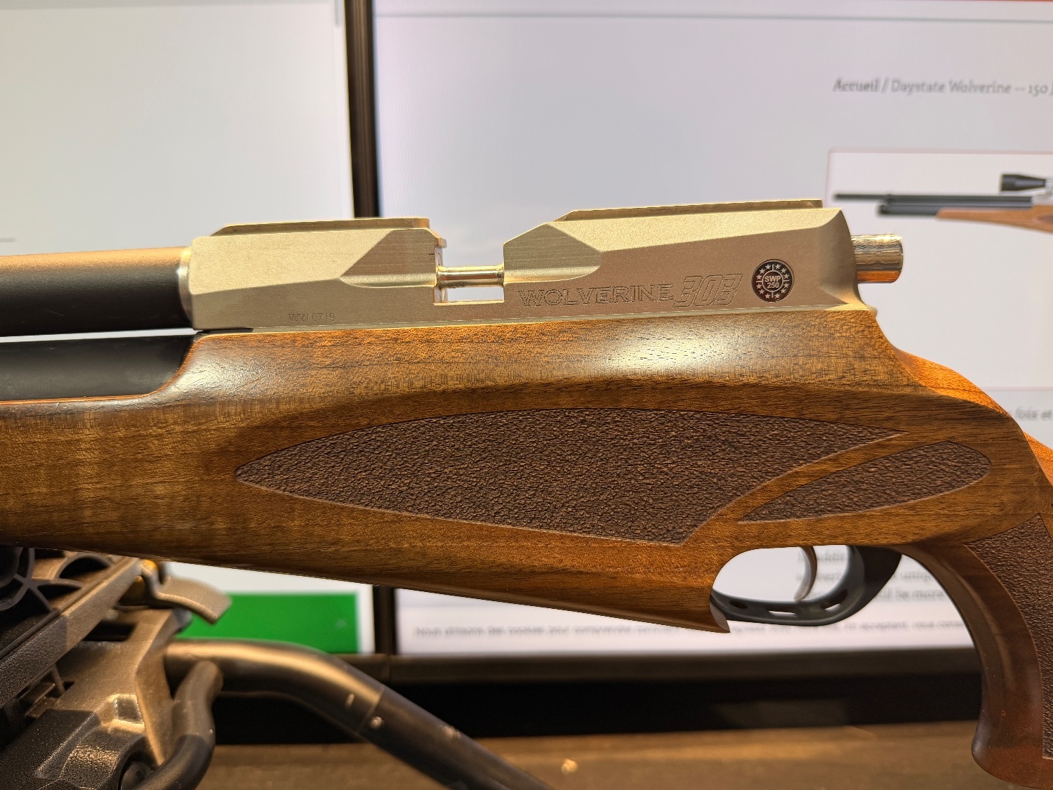 Daystate Wolverine .30