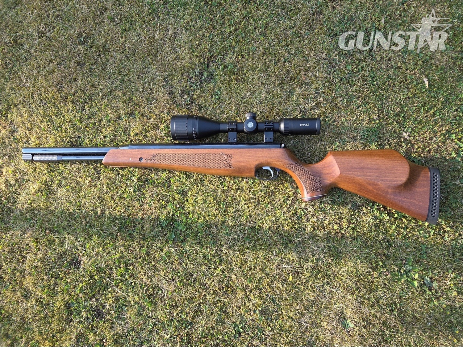 Air Arms TX200 Hunter Carbine .22 in 