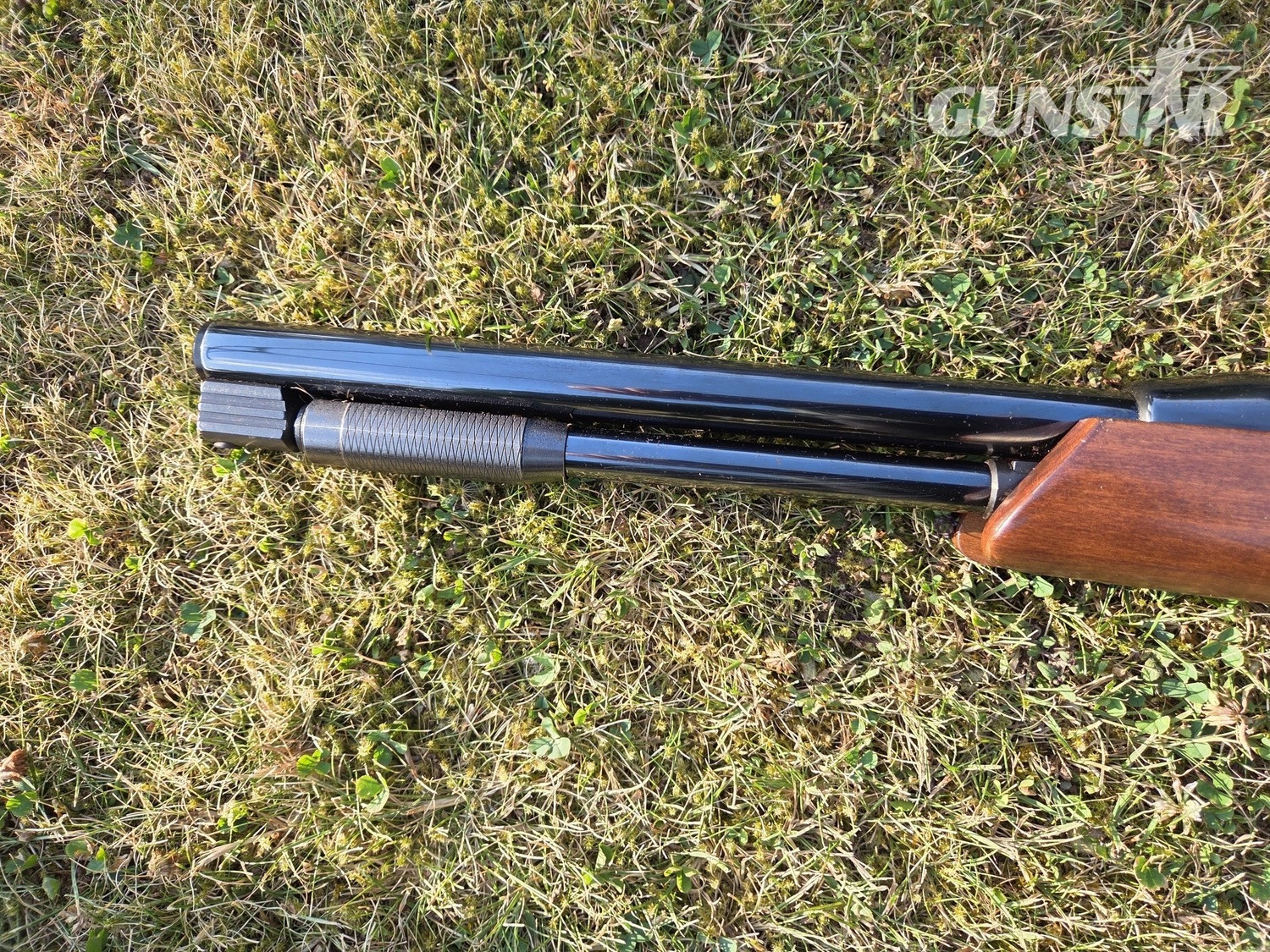 Air Arms TX200 Hunter Carbine .22 - {CATEGORY} in 
