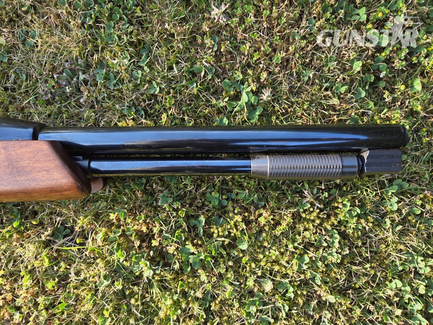{CATEGORY} - Air Arms TX200 Hunter Carbine .22 in 