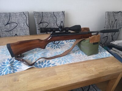 BSA Lightning .22